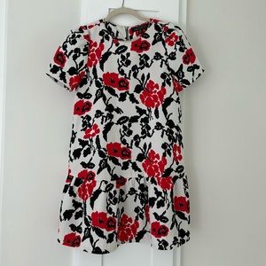 Drop waist dress with zipper back. Fits like a small